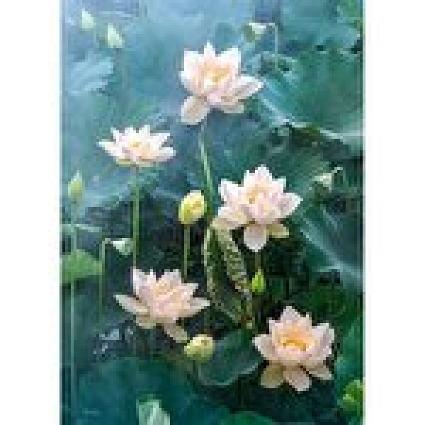 Puzzle Timaro - White Lotus, 1000 piese