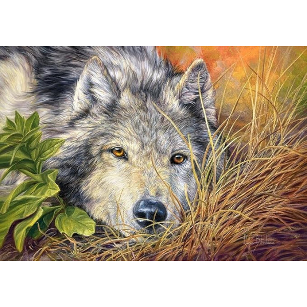 Puzzle Castorland Pure Soul 500 Pieces Puzzle Castorland Pure Soul 500 Pieces