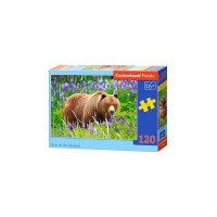 Puzzle Castorland - Bear On The Meadow, 120 Piese