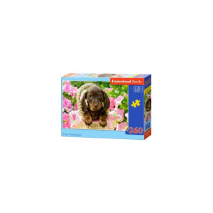 Puzzle Castorland - Cute Dachshund, 260 piese