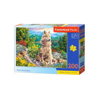 Puzzle Castorland - New Generation, 200 piese